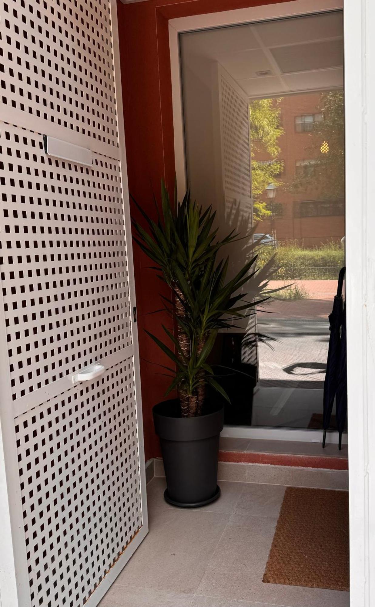 Laan Los Pinos 阿尔卡拉德荷那利斯 外观 照片